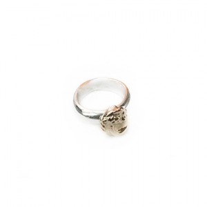 RSG61 Stg Silver & 9Ct Gold Ring